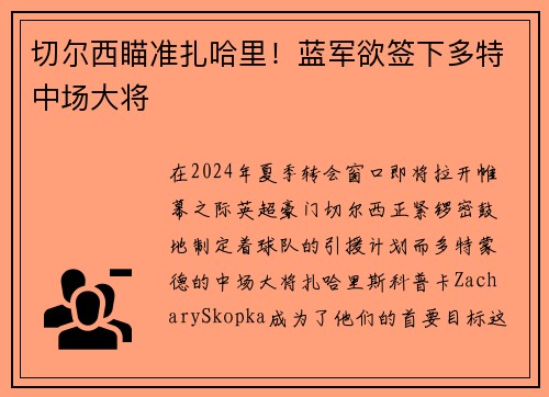 切尔西瞄准扎哈里！蓝军欲签下多特中场大将