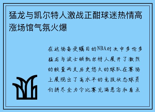 猛龙与凯尔特人激战正酣球迷热情高涨场馆气氛火爆