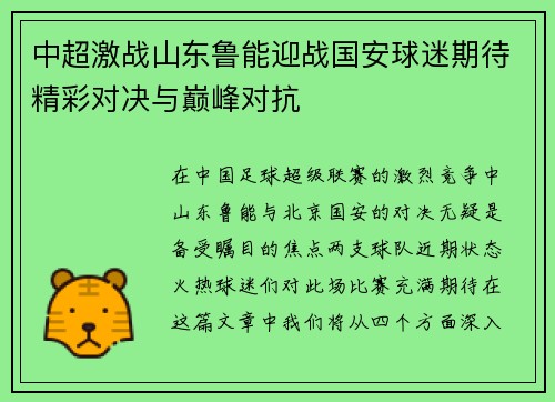 中超激战山东鲁能迎战国安球迷期待精彩对决与巅峰对抗
