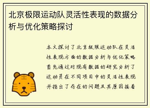 北京极限运动队灵活性表现的数据分析与优化策略探讨